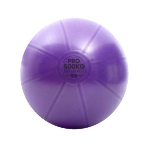 Swiss Ball – 500 kg, 55 cm met pomp