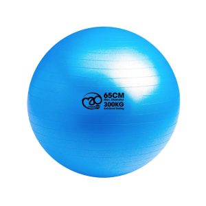 Swiss Ball – 300 kg, 65 cm